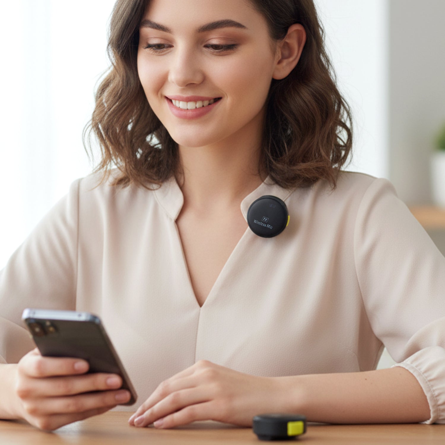 Wireless Mic System